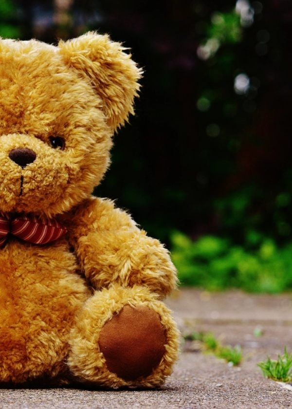 Kids and family content — friendly teddy bear